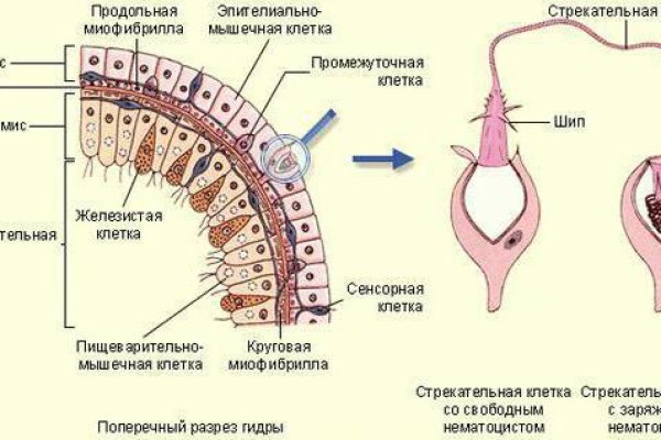 Войти на кракен