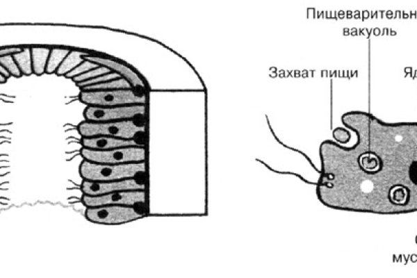 Кракен почему не заходит