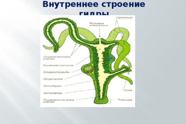 Как зайти на кракен с компа